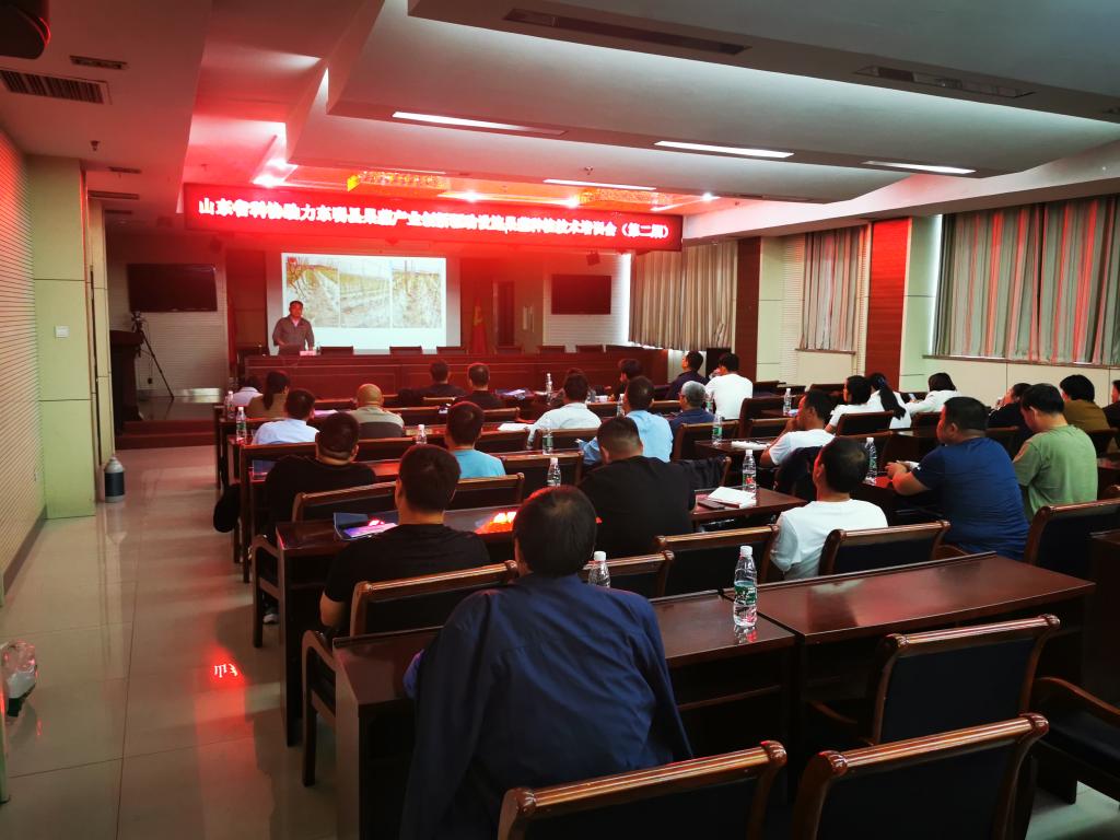 qy88vip千赢国际官网版