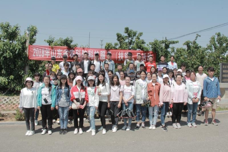 qy88vip千赢国际官网版