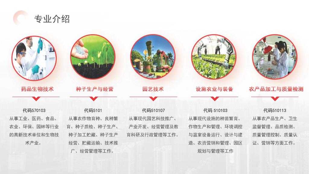 qy88vip千赢国际官网版