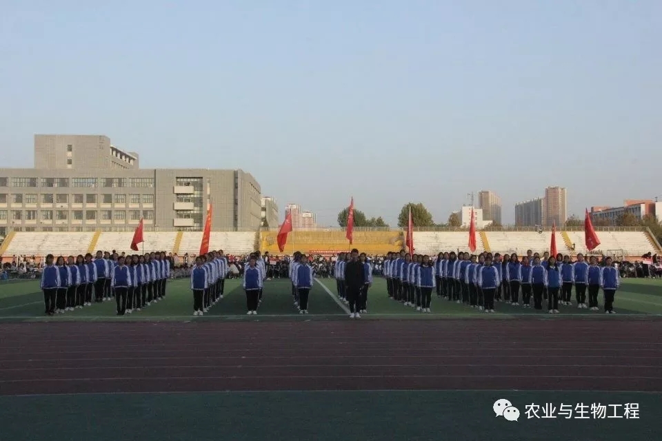 qy88vip千赢国际官网版