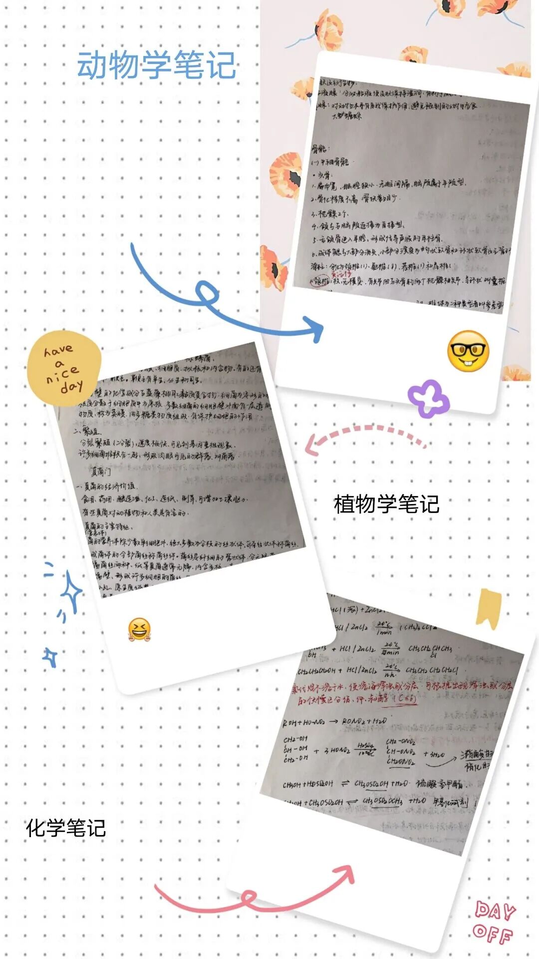 qy88vip千赢国际官网版
