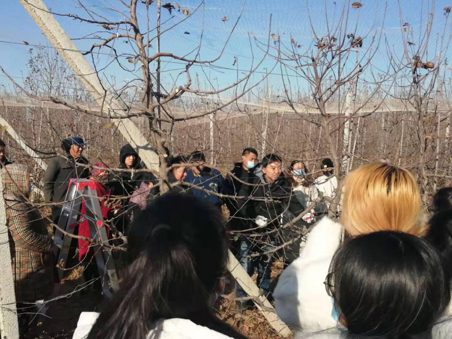 qy88vip千赢国际官网版