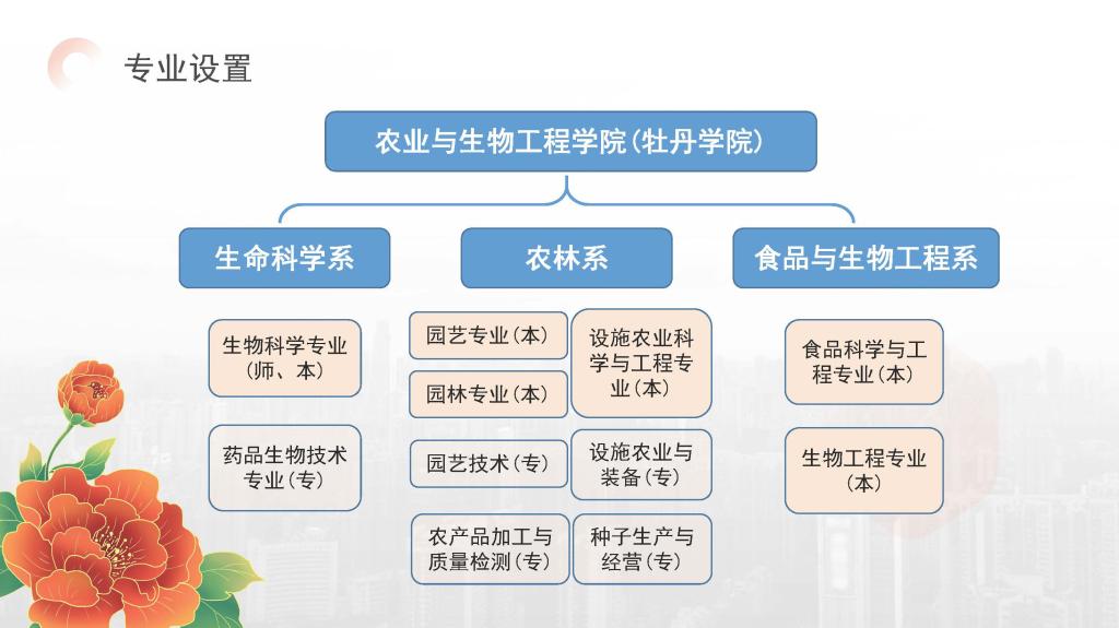 qy88vip千赢国际官网版