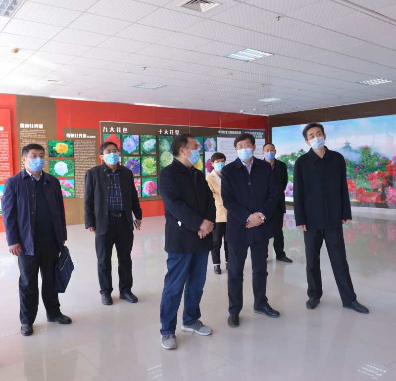 qy88vip千赢国际官网版