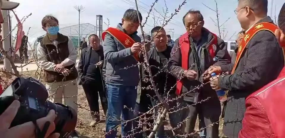 qy88vip千赢国际官网版